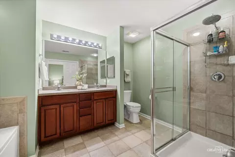 Bath - 803 Brodhead Dr, Aurora, IL 60504 photo 3 of 4