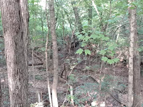 3952 4013 Devils Fork Rd, Carbondale, IL 62901 photo 9