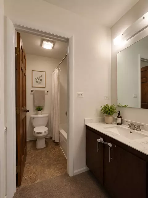 Bath - 337 Springlake Ln #D, Aurora, IL 60504 photo 2 of 4