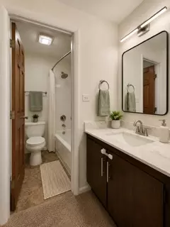 Bath - 337 Springlake Ln #D, Aurora, IL 60504 photo 3 of 4