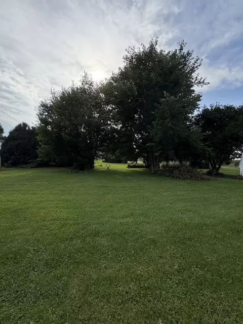Exterior - 404 Maple Ave, Forreston, IL 61030 photo 2 of 3