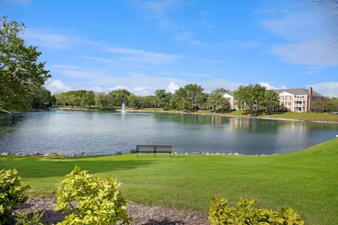 View/Area - 5501 Carriageway Dr #313A, Rolling Meadows, IL 60008 photo 6 of 6