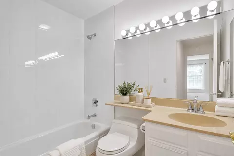 Bath - 5501 Carriageway Dr #313A, Rolling Meadows, IL 60008 photo 5 of 6
