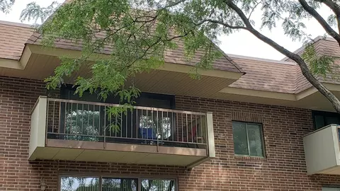 Exterior - 211 E Janata Ave #3B, Lombard, IL 60148 photo 1 of 11