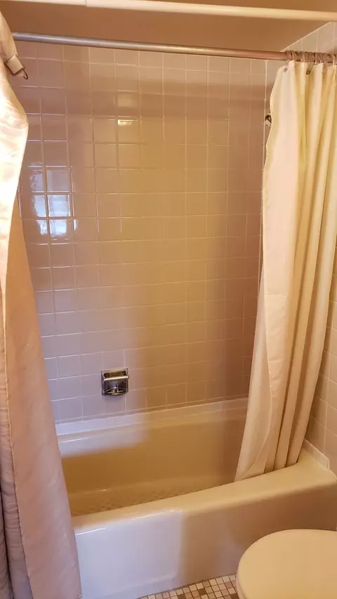 Bath - 211 E Janata Ave #3B, Lombard, IL 60148 photo 1 of 1