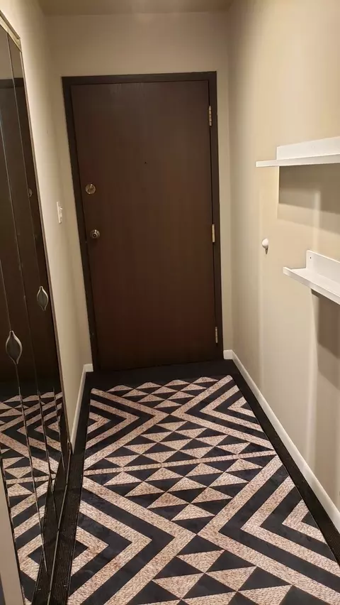 Entry Way - 211 E Janata Ave #3B, Lombard, IL 60148 photo 1 of 2