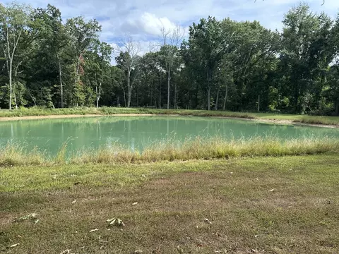 View/Area - 348 State Rte 37 Rte, Kell, IL 62853 photo 1 of 5