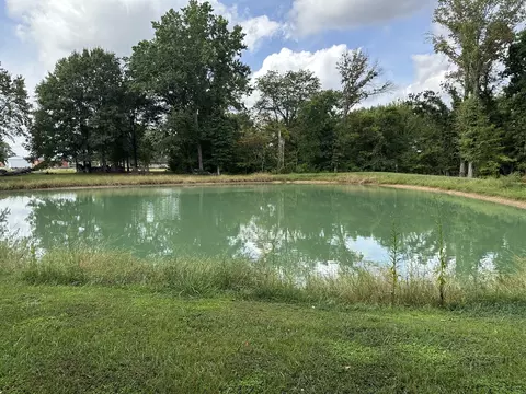 View/Area - 348 State Rte 37 Rte, Kell, IL 62853 photo 5 of 5