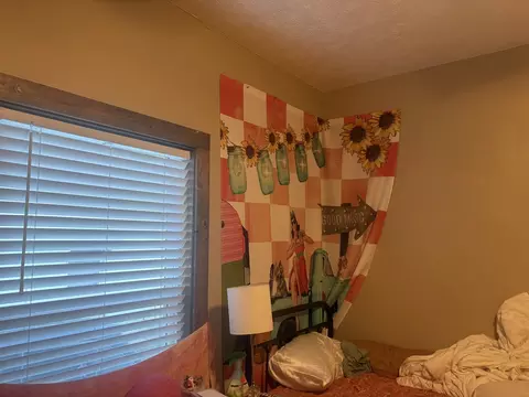 Other - 207 W Sylvia Ave, Christopher, IL 62822 photo 3 of 7