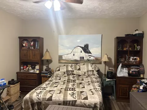 Bedroom - 207 W Sylvia Ave, Christopher, IL 62822 photo 1 of 1