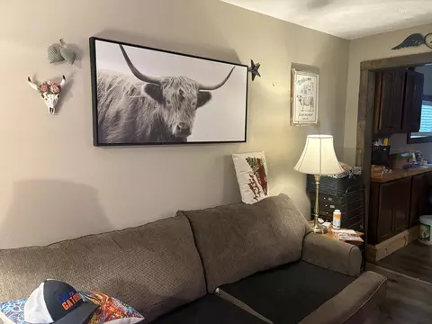 Living - 207 W Sylvia Ave, Christopher, IL 62822 photo 1 of 1