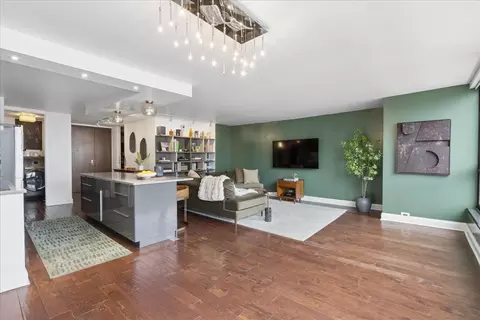 Living - 360 E Randolph St #3205, Chicago, IL 60601 photo 3 of 5