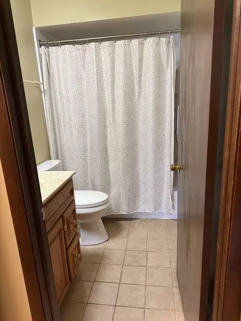 Bath - 3103 Smoke Tree Ct, Hazel Crest, IL 60429 photo 2 of 2