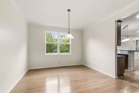 Other - 12716 Meadow Ln, Plainfield, IL 60585 photo 1 of 10