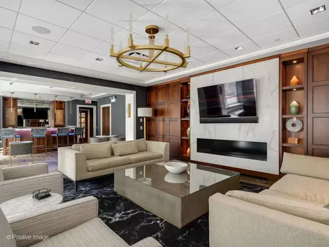 Living - 57 E Delaware Pl #3503, Chicago, IL 60611 photo 7 of 7