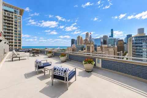 View/Area - 222 E Pearson St #1901, Chicago, IL 60611 photo 3 of 5