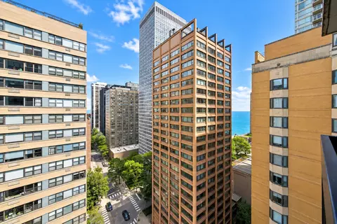 View/Area - 222 E Pearson St #1901, Chicago, IL 60611 photo 1 of 5