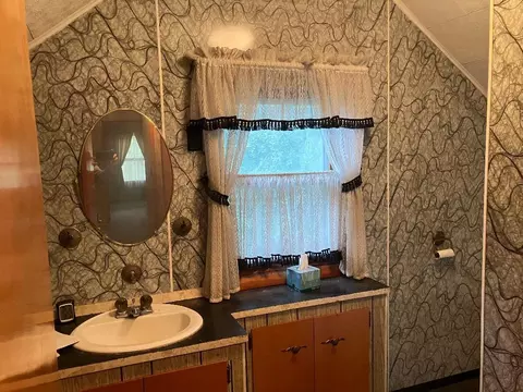 Bath - 412 Monroe Ave, Dixon, IL 61021 photo 2 of 3