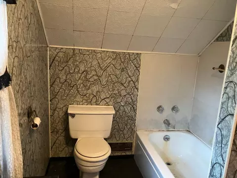 Bath - 412 Monroe Ave, Dixon, IL 61021 photo 3 of 3