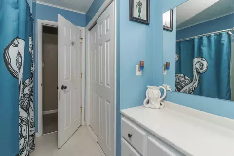Bath - 719 Kathleen Dr, Normal, IL 61761 photo 2 of 5