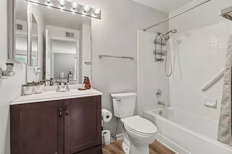 Bath - 3255 Kirchoff Rd #203, Rolling Meadows, IL 60008 photo 1 of 3