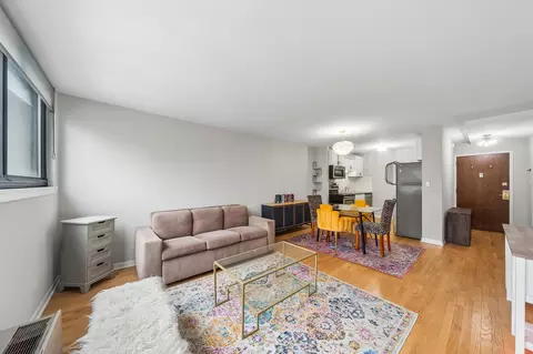 Living - 30 E Division St #15C, Chicago, IL 60610 photo 2 of 4