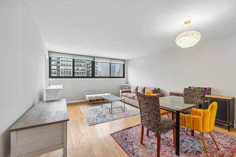 Living - 30 E Division St #15C, Chicago, IL 60610 photo 4 of 4