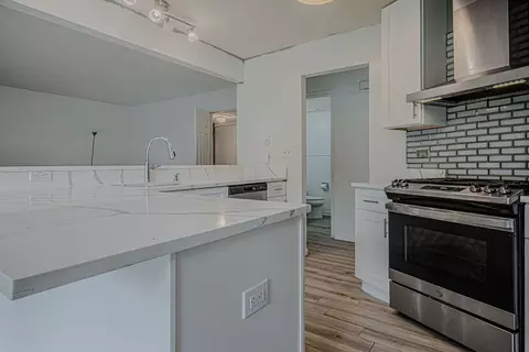 Kitchen - 1449 Eliot Trl, Elgin, IL 60120 photo 4 of 5