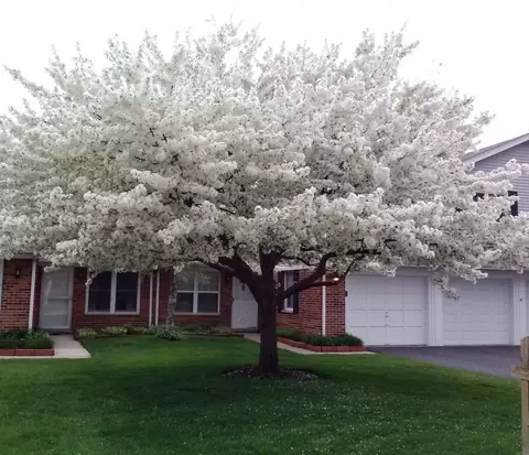 Exterior - 45 Willow Cir, Cary, IL 60013 photo 14 of 14