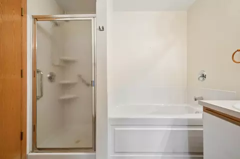 Bath - 3125 Town Square Dr #401, Rolling Meadows, IL 60008 photo 3 of 3