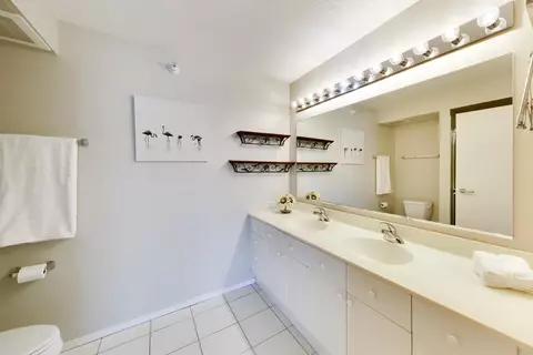 Bath - 1720 Maple Ave #910, Evanston, IL 60201 photo 2 of 7