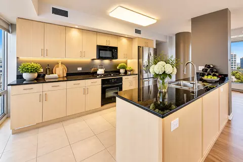 Kitchen - 1720 Maple Ave #910, Evanston, IL 60201 photo 1 of 4