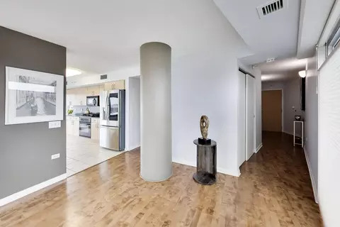Entry Way - 1720 Maple Ave #910, Evanston, IL 60201 photo 2 of 2