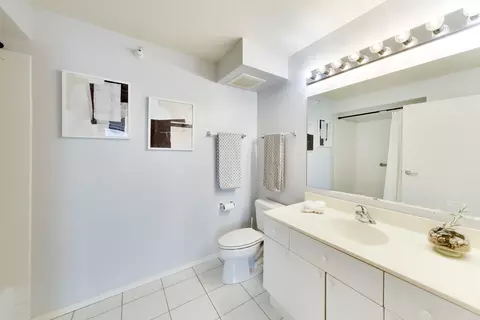 Bath - 1720 Maple Ave #910, Evanston, IL 60201 photo 6 of 7