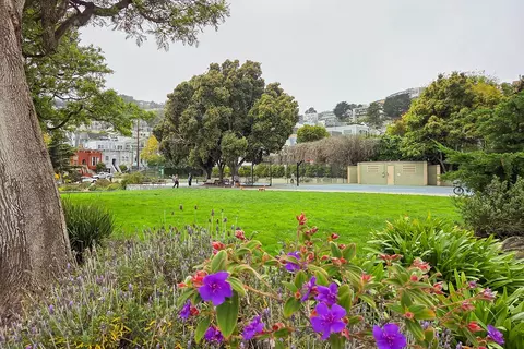 Other - 791 27th St, San Francisco, CA 94131 photo 17 of 23