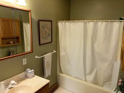 Bath - 211 N Seminary St, Downs, IL 61736 photo 2 of 4