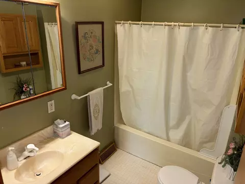 Bath - 211 N Seminary St, Downs, IL 61736 photo 1 of 4