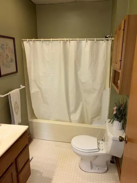 Bath - 211 N Seminary St, Downs, IL 61736 photo 3 of 4