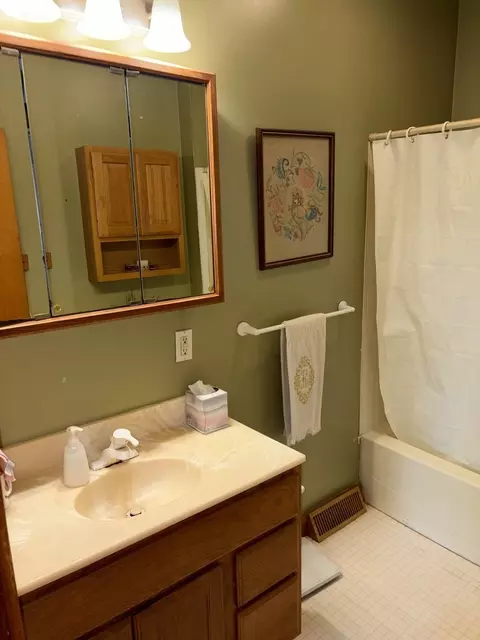 Bath - 211 N Seminary St, Downs, IL 61736 photo 4 of 4