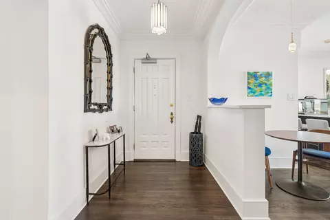 Entry Way - 20 E Cedar St #17C, Chicago, IL 60611 photo 3 of 6