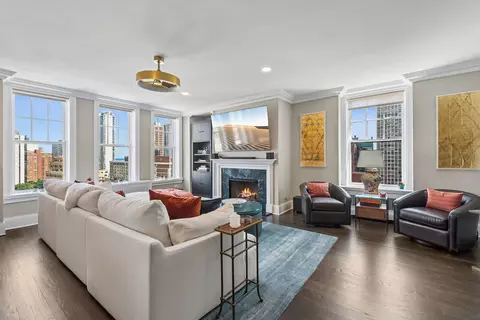 Living - 20 E Cedar St #17C, Chicago, IL 60611 photo 4 of 5