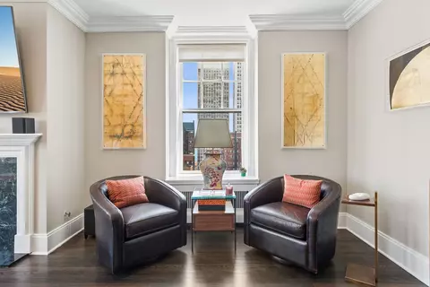 Living - 20 E Cedar St #17C, Chicago, IL 60611 photo 5 of 5