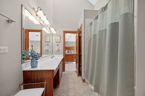 Bath - 16159 W Red Cloud Dr, Lockport, IL 60441 photo 4 of 5