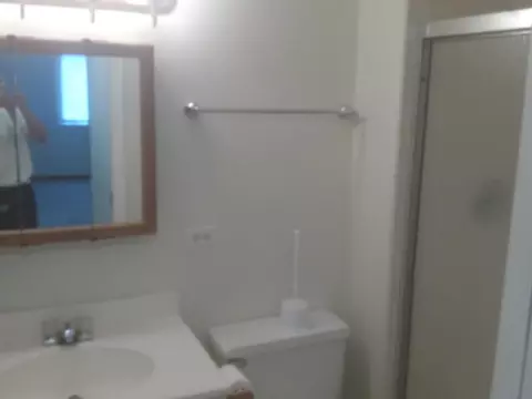 Bath - 1480 Stonebridge Cir #D-1, Wheaton, IL 60189 photo 1 of 2