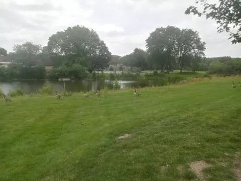 View/Area - 1480 Stonebridge Cir #D-1, Wheaton, IL 60189 photo 2 of 2