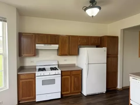 Kitchen - 443 Autumn Dr, Beecher, IL 60401 photo 2 of 2