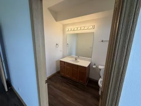 Bath - 443 Autumn Dr, Beecher, IL 60401 photo 1 of 3