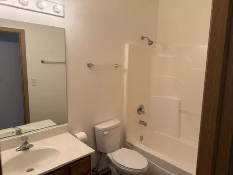 Bath - 443 Autumn Dr, Beecher, IL 60401 photo 3 of 3
