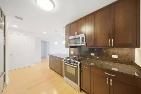 Kitchen - 60 E Monroe St #3306, Chicago, IL 60603 photo 2 of 4