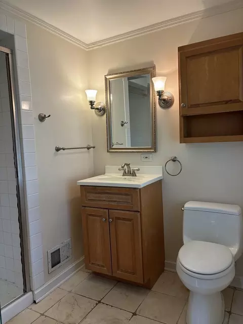 Bath - 1116 Woodview Rd, Burr Ridge, IL 60527 photo 2 of 2